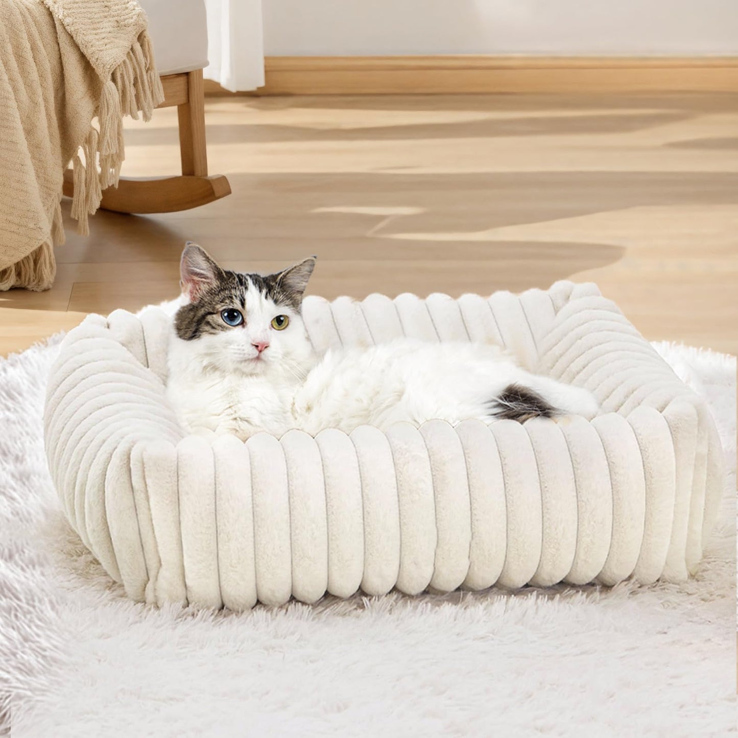 Mikrofgo Katzenbett Flauschig Washbar 50x48x15 cm, Plüsch Katzen Schlafplatz Weich und Warm für Katzen Kleine Hunde, Orthopädisches Kuschelbett mit Rutigfester Boden Weiß