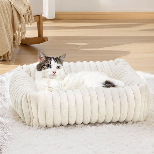 Mikrofgo Katzenbett Flauschig Washbar 50x48x15 cm, Plüsch Katzen Schlafplatz Weich und Warm für Katzen Kleine Hunde, Orthopädisches Kuschelbett mit Rutigfester Boden Weiß