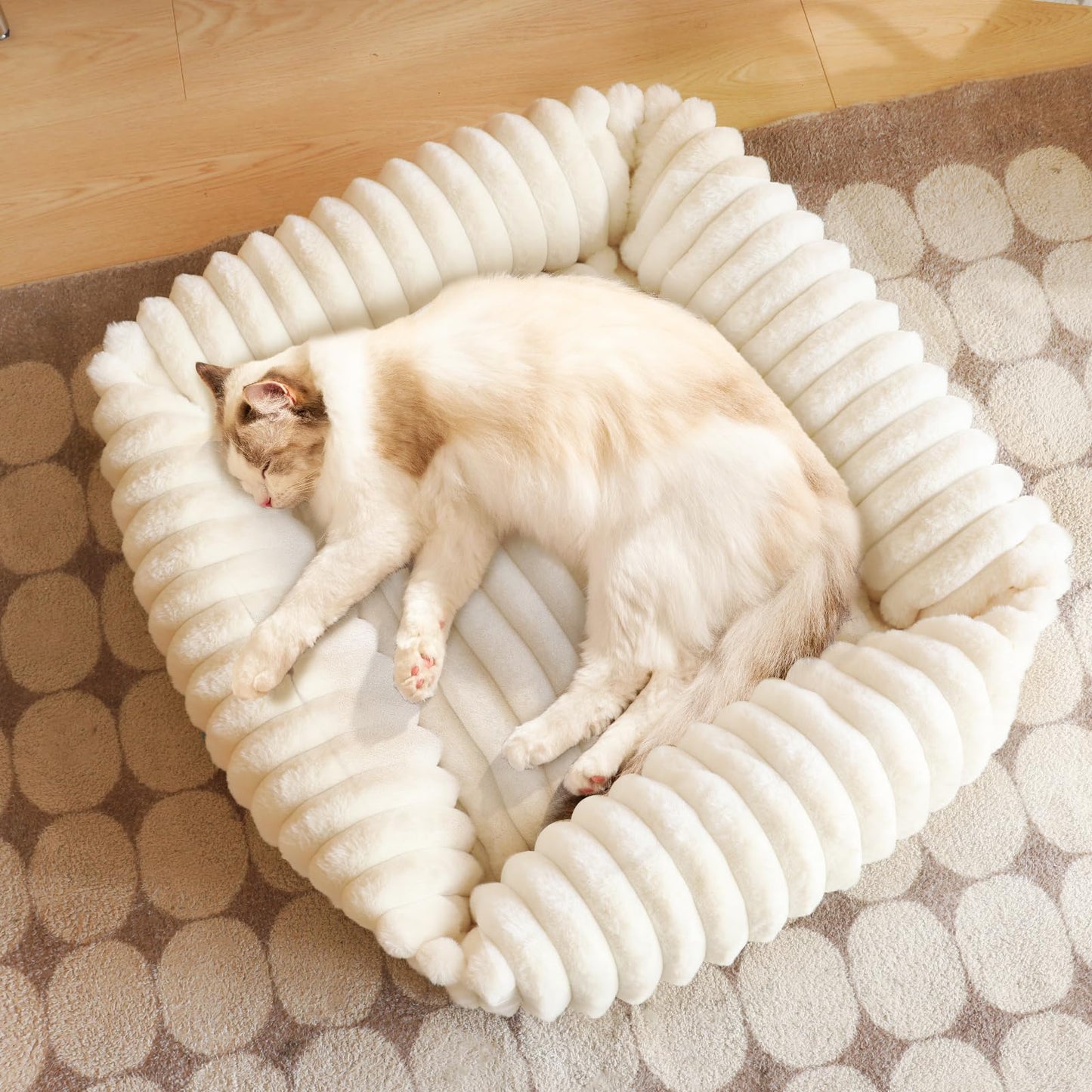 Mikrofgo Katzenbett Flauschig Washbar 50x48x15 cm, Plüsch Katzen Schlafplatz Weich und Warm für Katzen Kleine Hunde, Orthopädisches Kuschelbett mit Rutigfester Boden Weiß